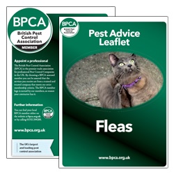 Fleas-pest-advice-leaflet-BPCA Fleas-pest-advice-leaflet-BPCA